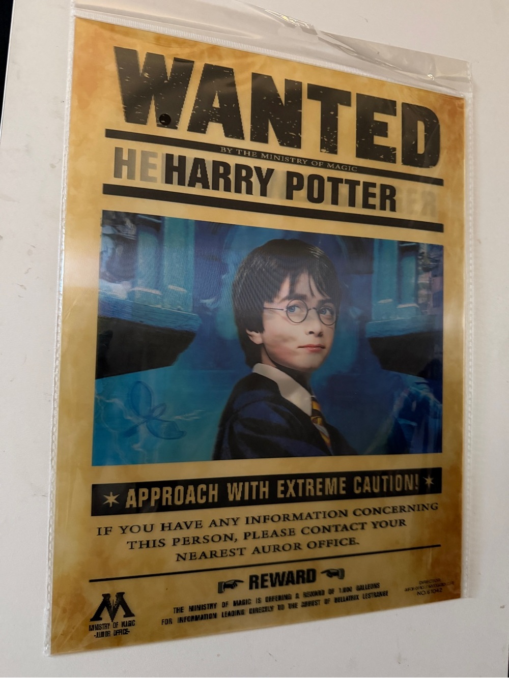 Harry Potter 3D Lenticular poster